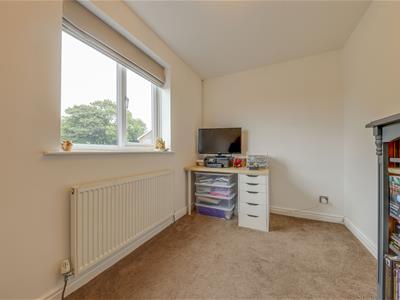Picture 24